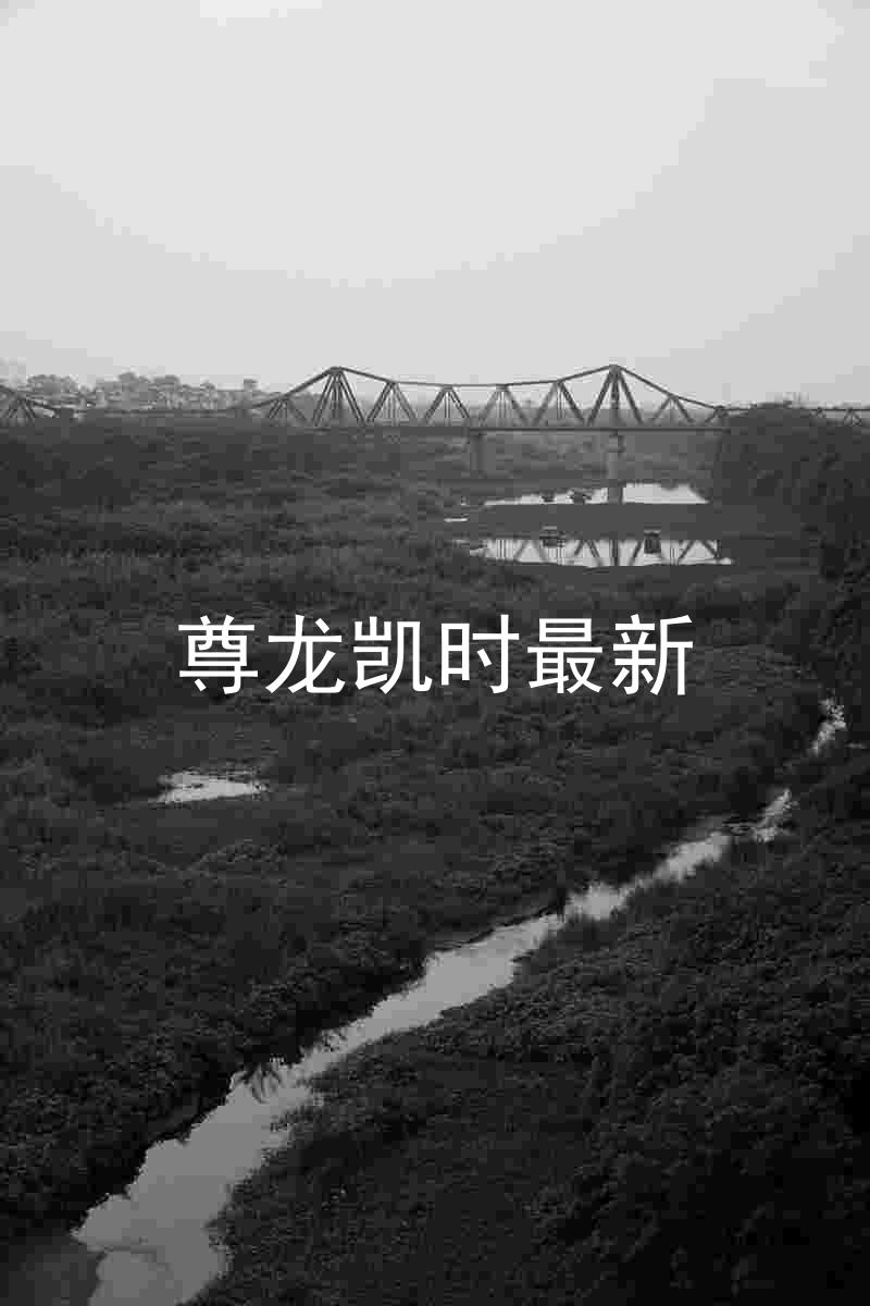 尊龙凯时最新