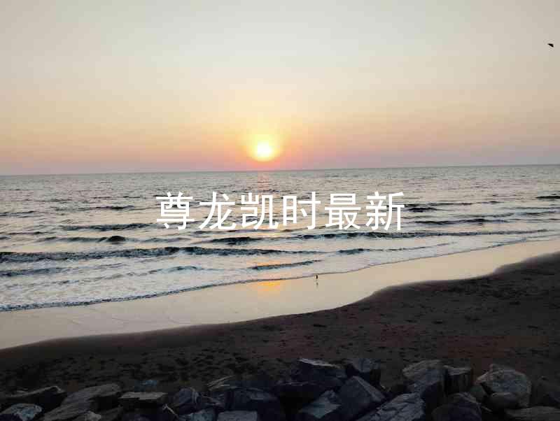 尊龙凯时最新